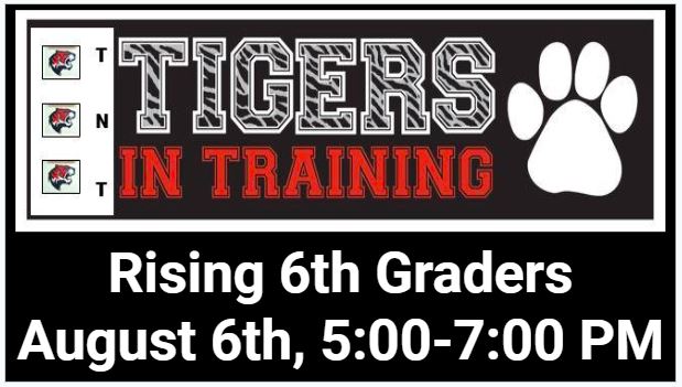 Tigers in Training